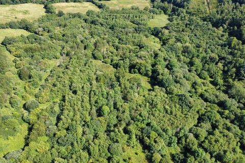 Land for sale, Cwmdu, Talley, Llandeilo