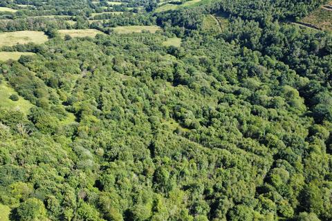 Land for sale, Cwmdu, Talley, Llandeilo