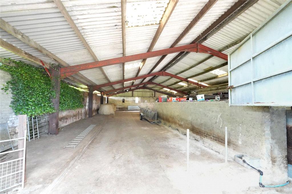 Shed