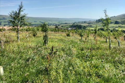 Land for sale, Hawes DL8