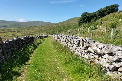 Land for sale, Hawes DL8