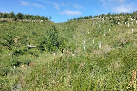 Land for sale, Hawes DL8