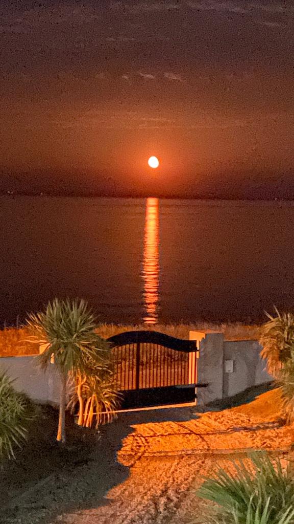 Evening View