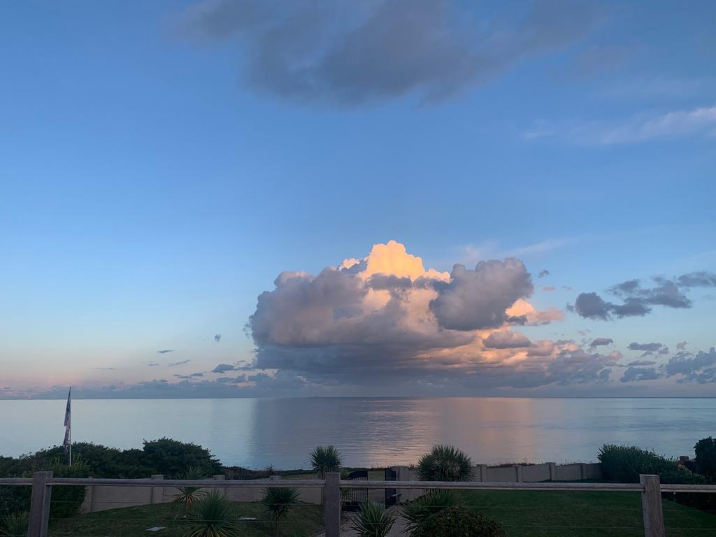 Day View