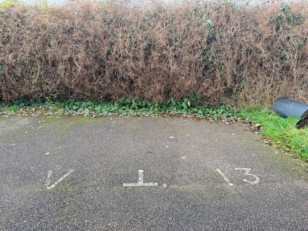 46406 33512306 IMG 11 0000.jpeg
