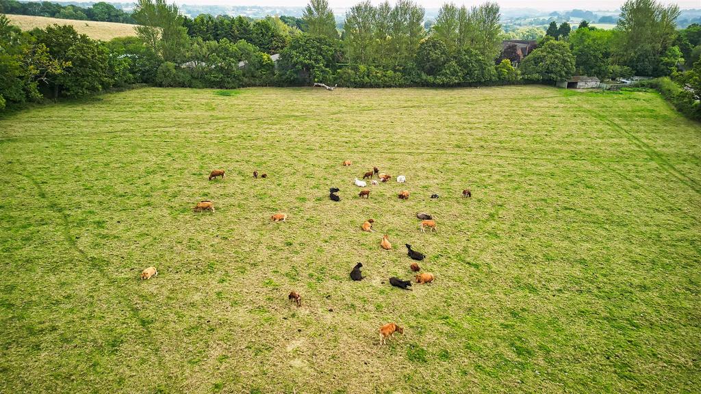 29 Raw Cast-SBK North Ullenhall B95 5 PT 0029.jpeg