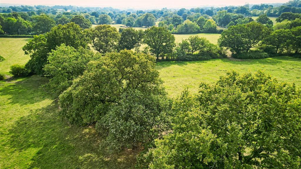 167 Raw Cast-SBK North Ullenhall B95 5 PT 0172.jpeg