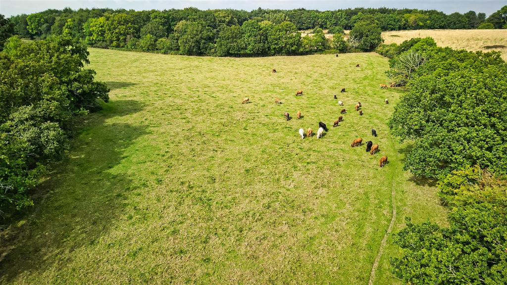 161 Raw Cast-SBK North Ullenhall B95 5 PT 0166.jpeg