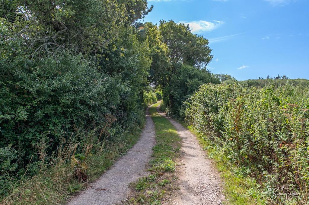 Lane to 2 South Cottages