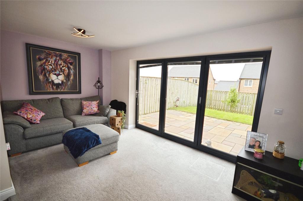 Open Plan/Living