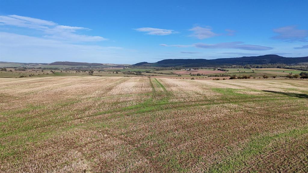 DJI 20250918160904 0093 D.jpg