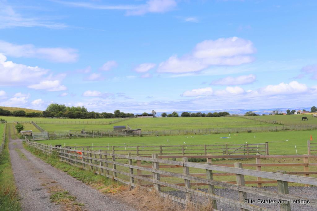 16 img 0742