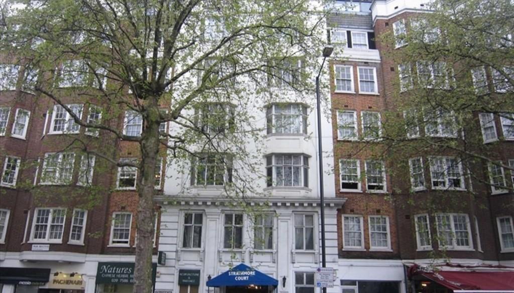 Pic 9