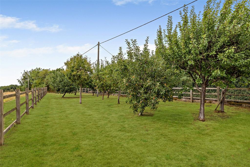 Orchard