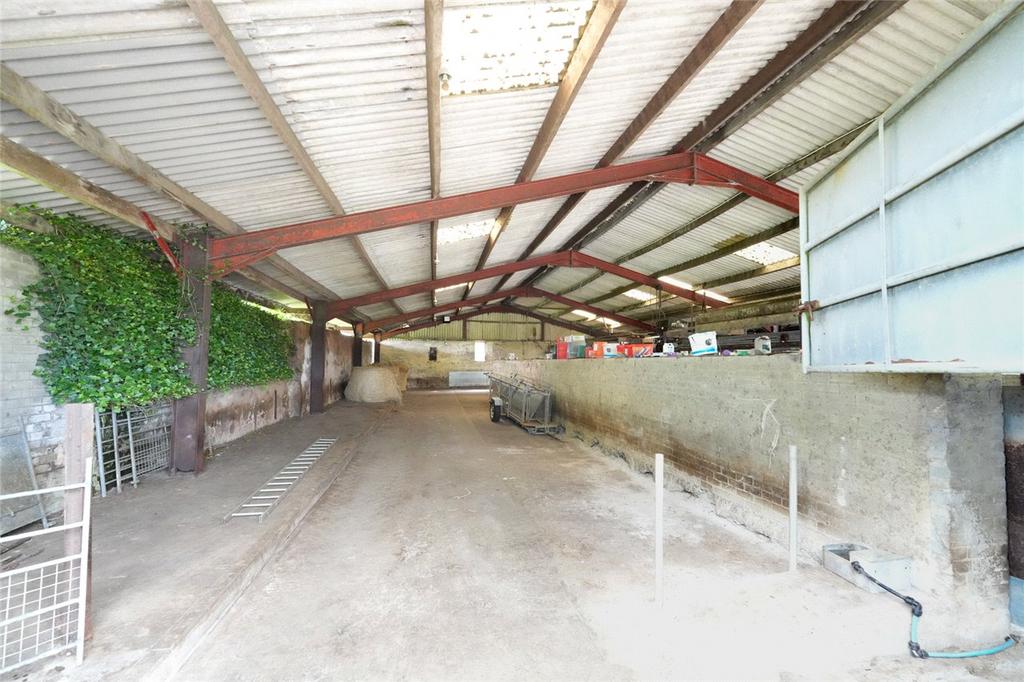 Shed