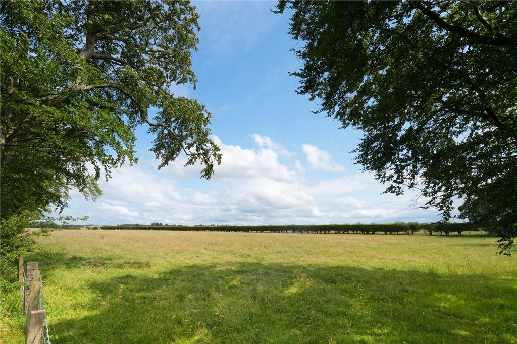 Land Lot 1