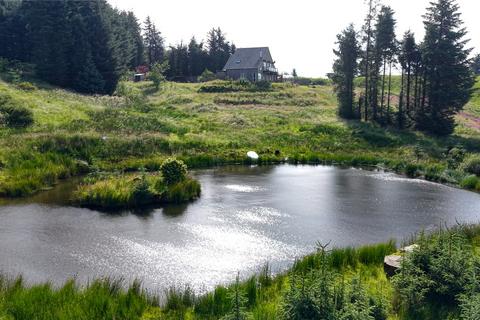 undefined, Brockloch Forest, Carsphairn, Castle Douglas, DG7