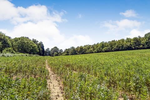 Land for sale, Riccards Lane, Whatlington, TN33