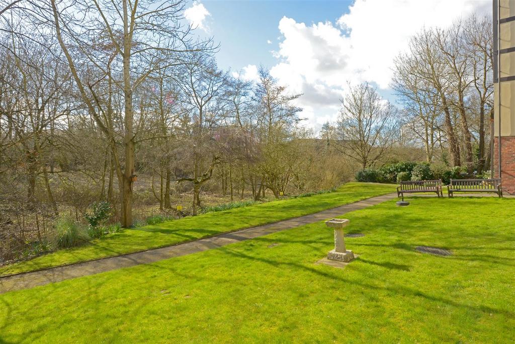 Garden 1.JPG