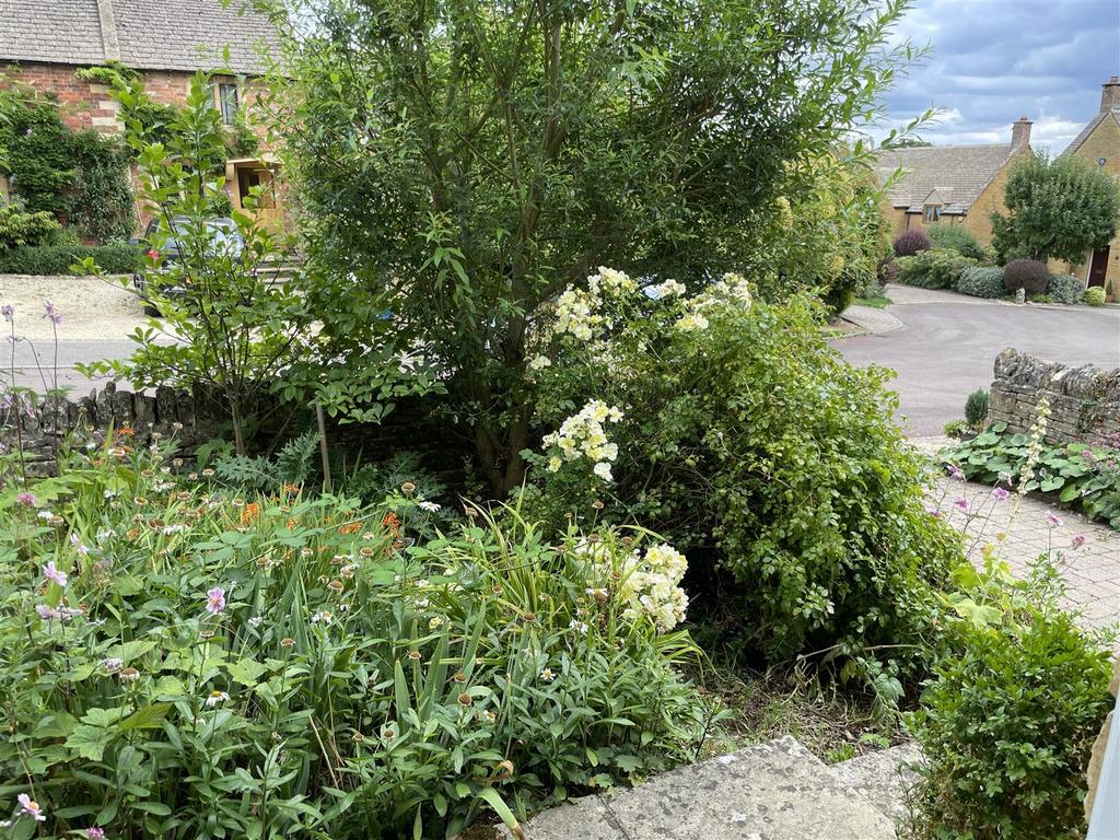 Front garden.JPG