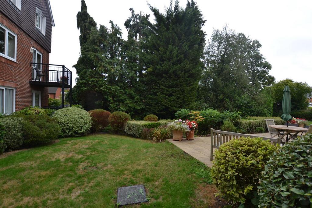 Garden 3 .JPG