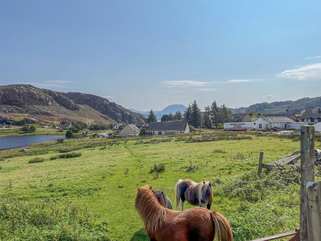 PONIES (2)-2.jpg