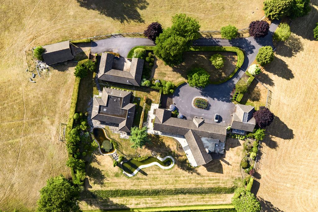 Birds-Eye View