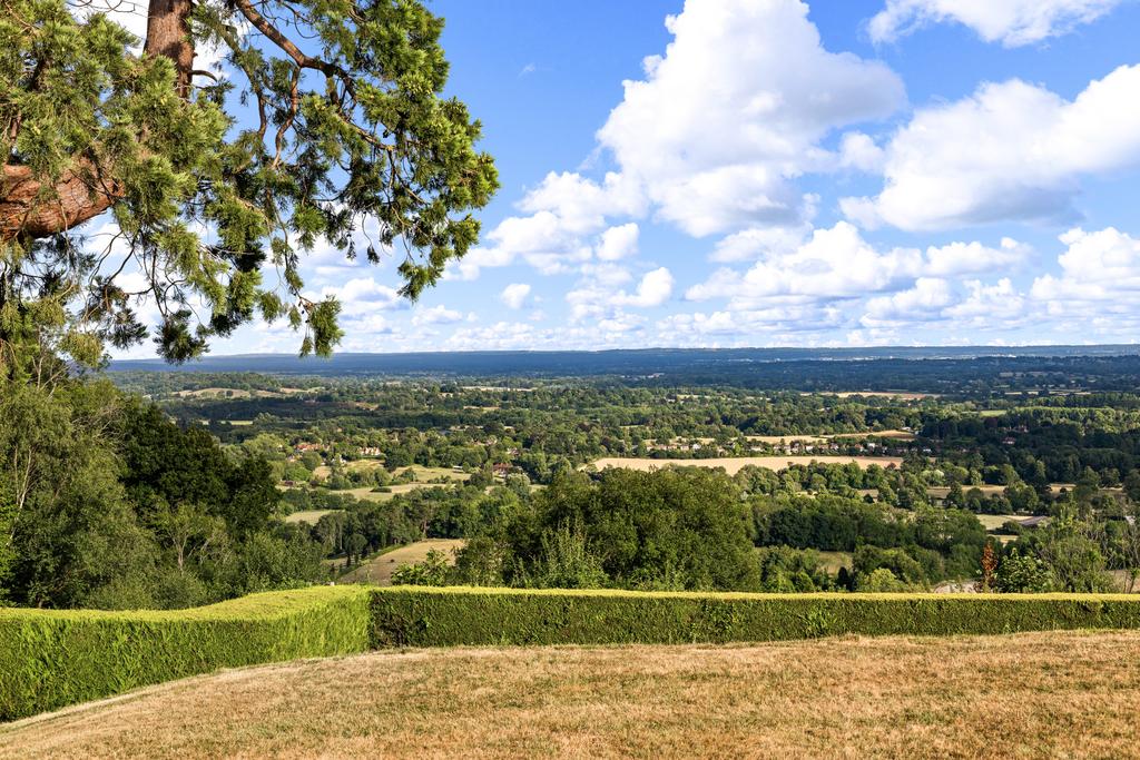 Vista