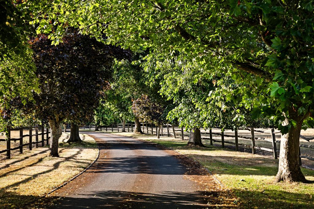 Driveway
