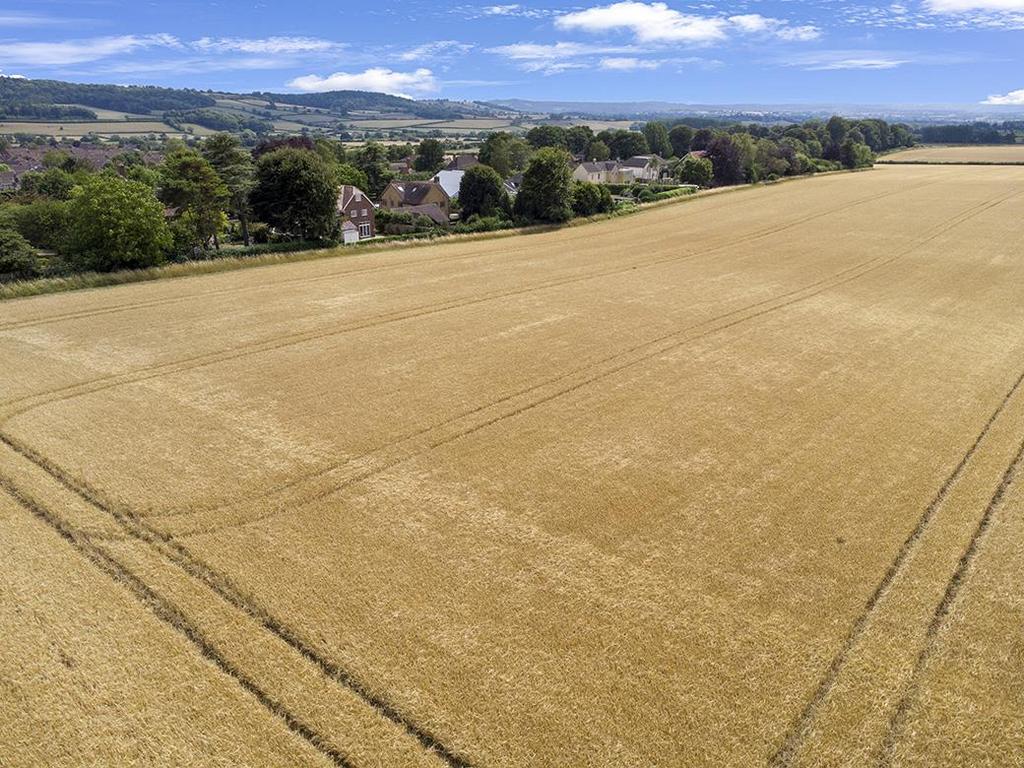 DJI 0427.jpg