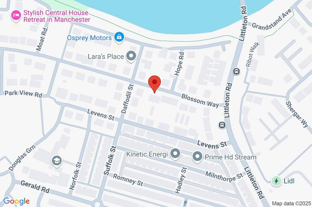 Immediate Area