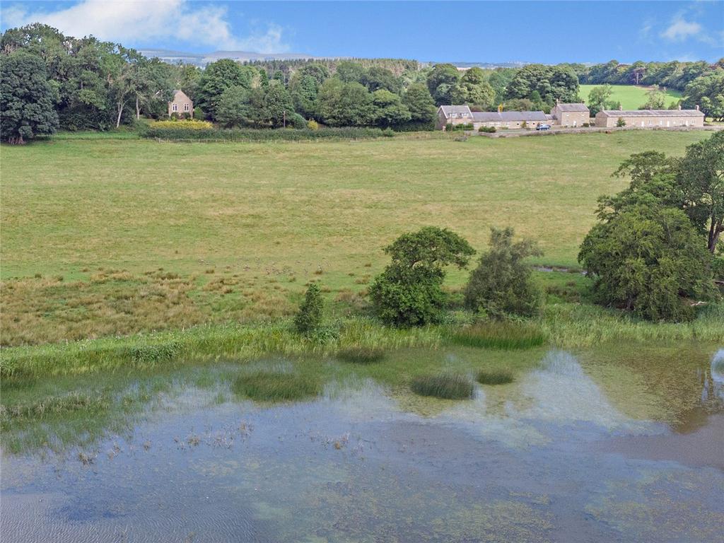 View From Lake