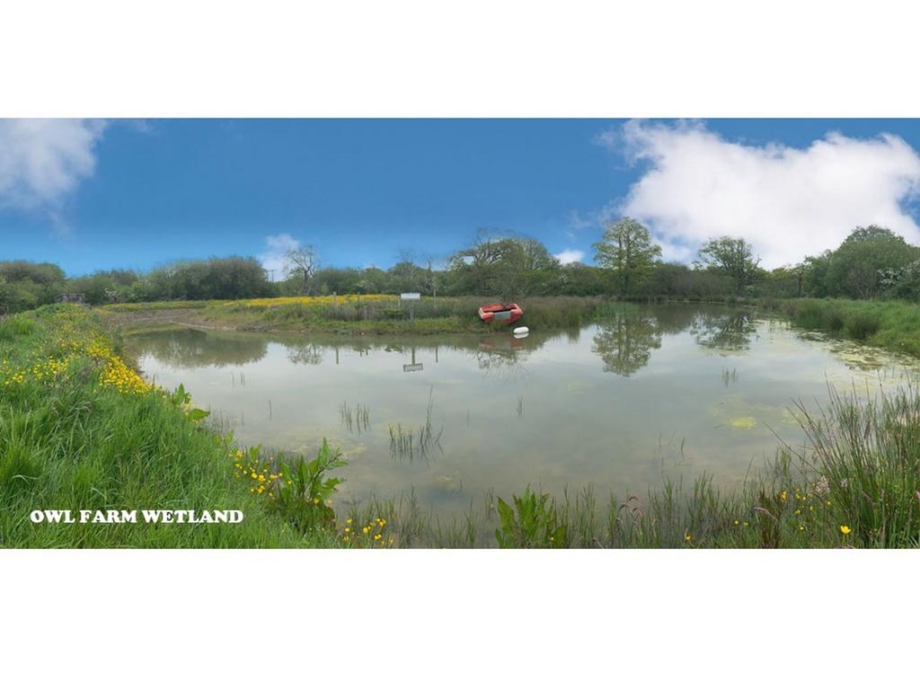 Wetland