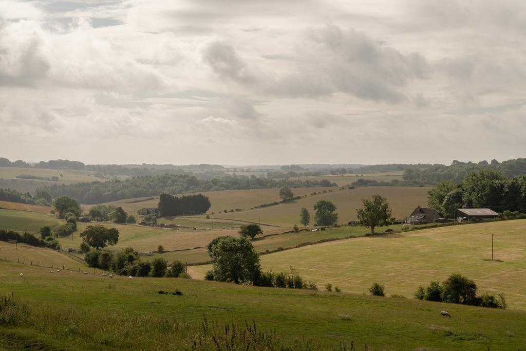 295545 -  A747756.jpg