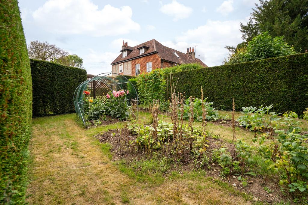 Vegetable Garden