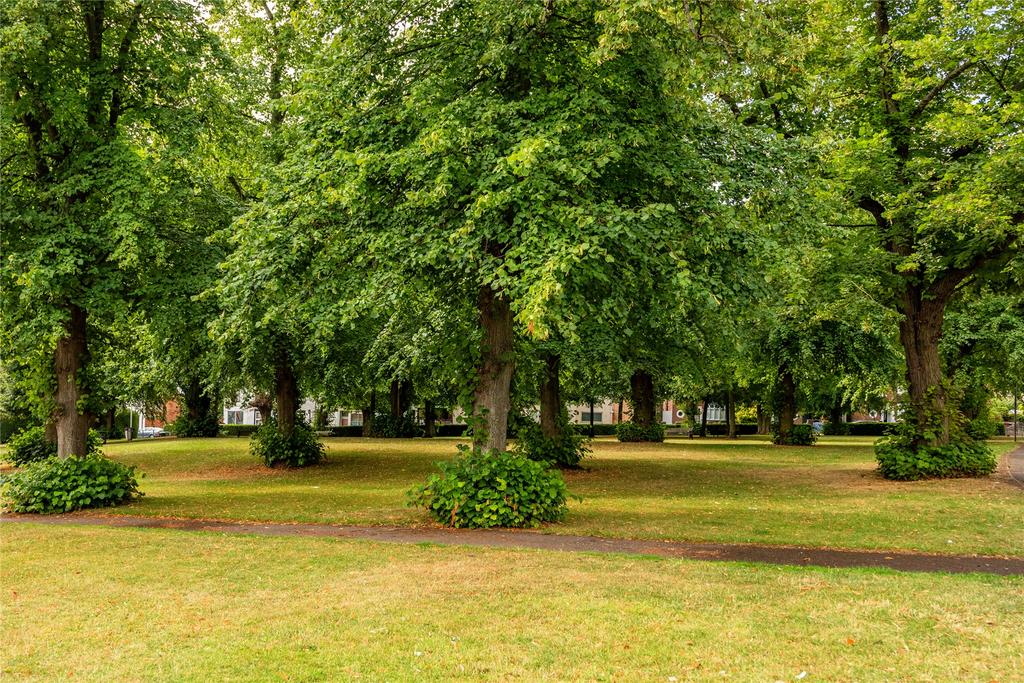 View Of Green
