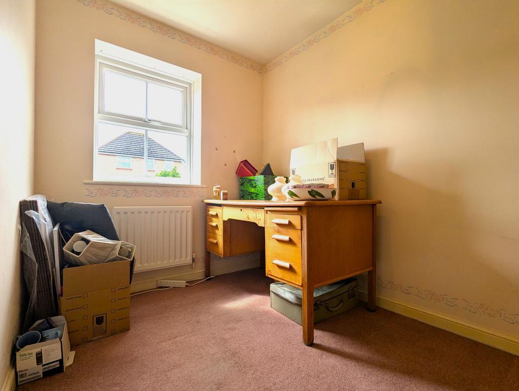 Photograph 11