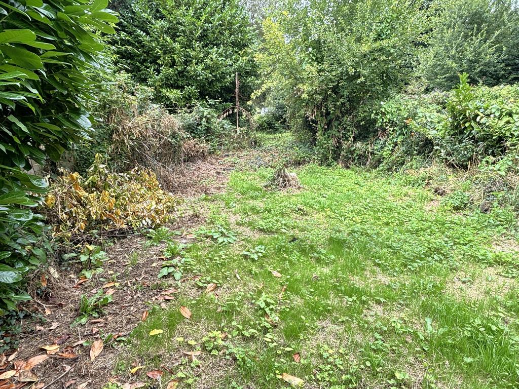 Large Rear Garden