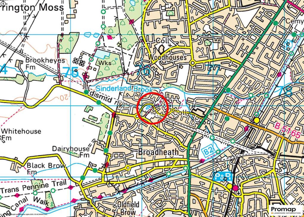Town Plan