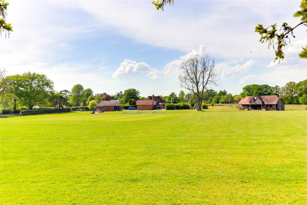 Cricket pitch 1.2.jpg