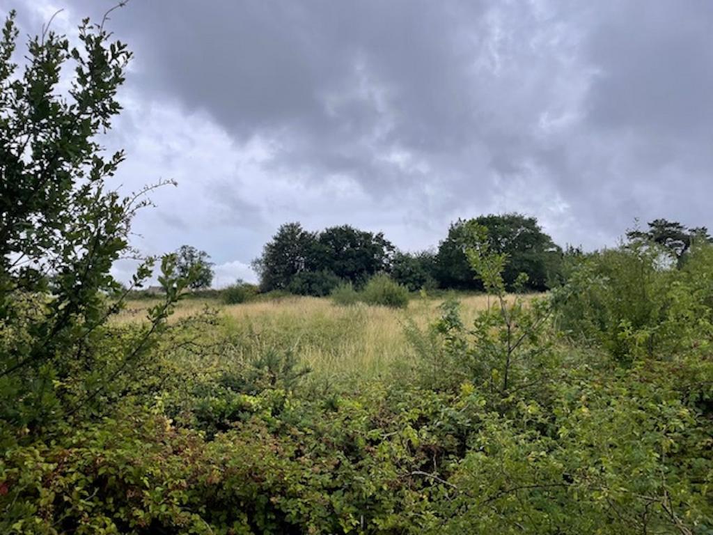 Coalville 1.jpg