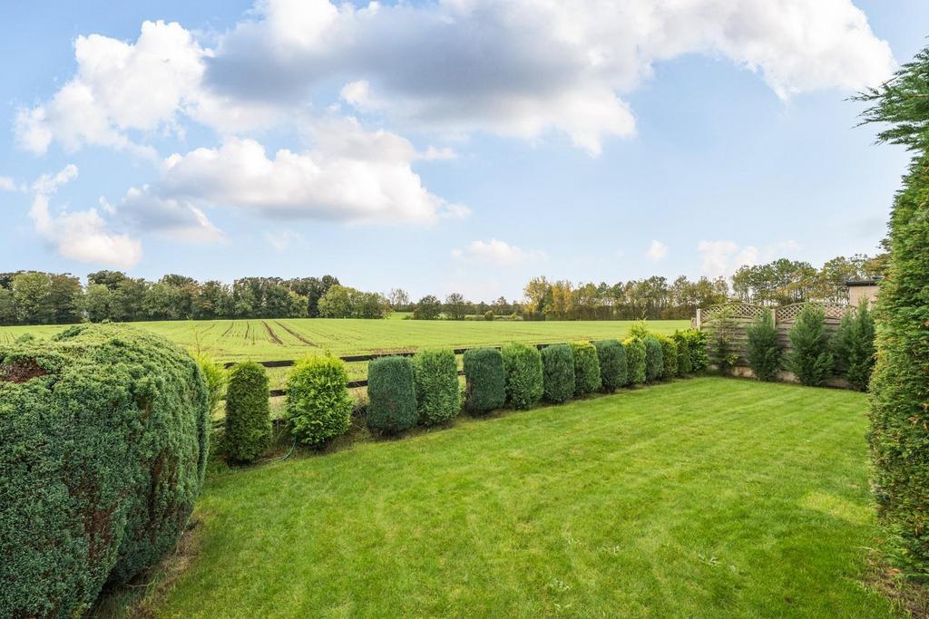 Rear garden 2.jpg