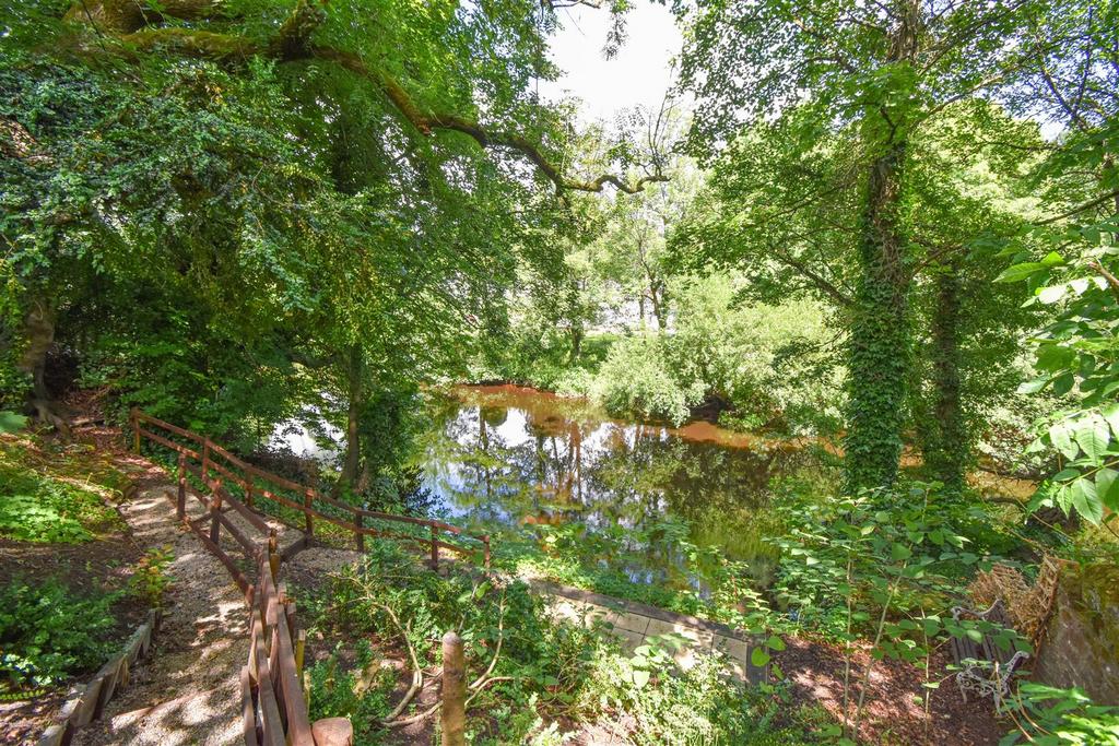 River Eden From the Bank