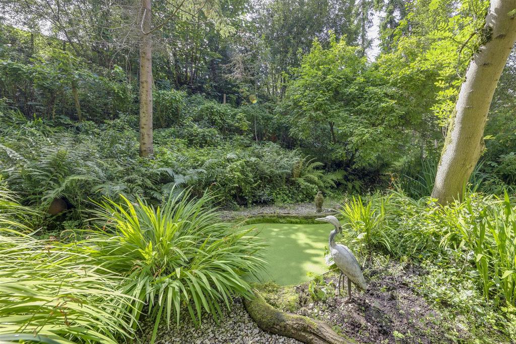 Feature Pond
