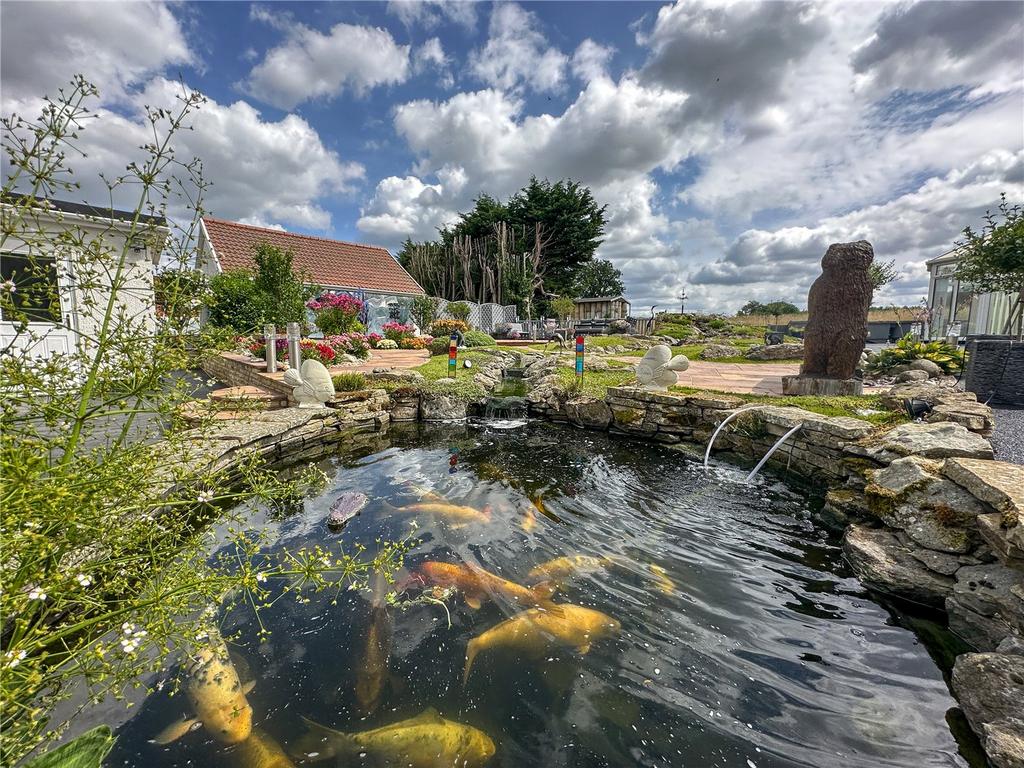 Koi Pond