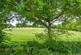 Bicknacre Road, Danbury photo 5