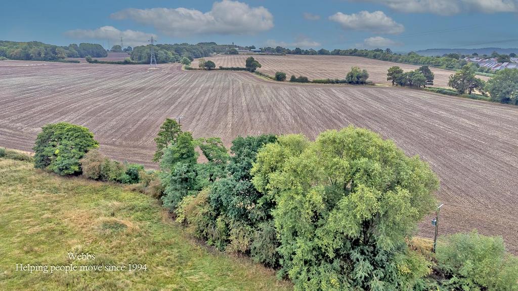 Dji 0299.jpg