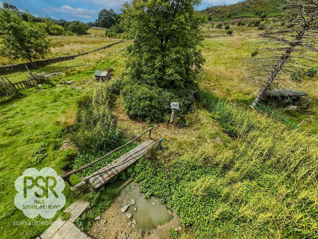 Upper Field Area with Pond