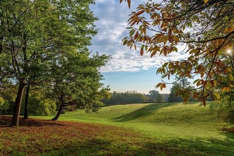 1 bedroom apartment for sale, Plot 129 at Sunningdale Park, Sunningdale Park, Larch Avenue SL5