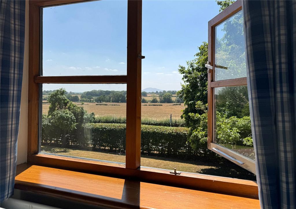 Bedroom View